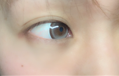 レビュー写真