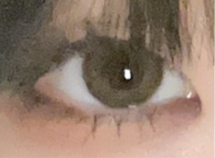レビュー写真