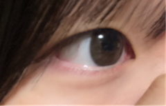 レビュー写真