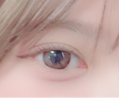 レビュー写真