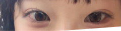 レビュー写真