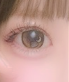 レビュー写真