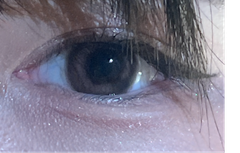 レビュー写真