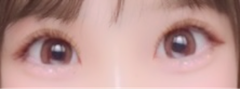レビュー写真