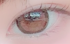 レビュー写真