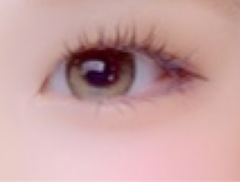 レビュー写真