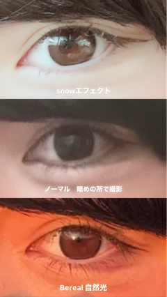 レビュー写真
