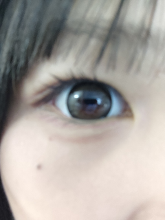レビュー写真