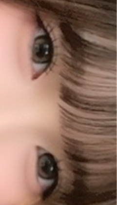 レビュー写真