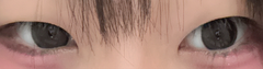 レビュー写真