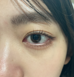 レビュー写真