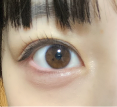 レビュー写真
