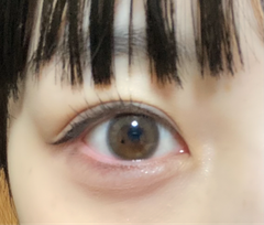 レビュー写真