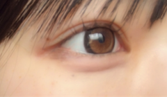 レビュー写真