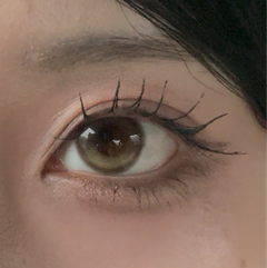 レビュー写真