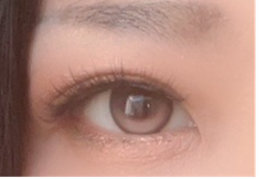 レビュー写真