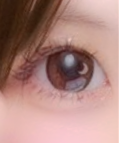 レビュー写真