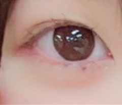 レビュー写真