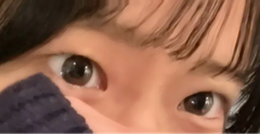 レビュー写真