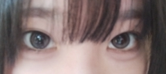 レビュー写真