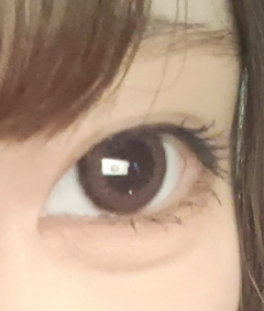 レビュー写真