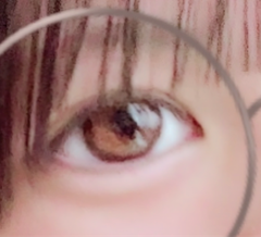 レビュー写真