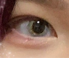 レビュー写真
