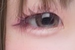 レビュー写真