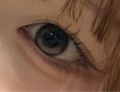 レビュー写真