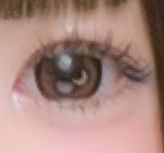 レビュー写真