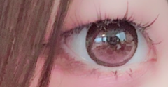 レビュー写真
