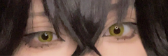 レビュー写真