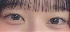 レビュー写真