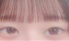 レビュー写真