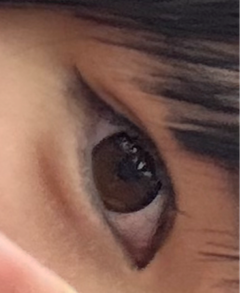 レビュー写真