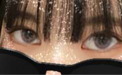 レビュー写真
