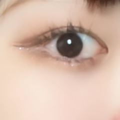レビュー写真