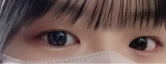 レビュー写真
