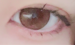 レビュー写真