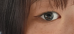 レビュー写真