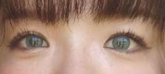 レビュー写真