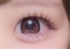 レビュー写真