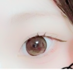 レビュー写真
