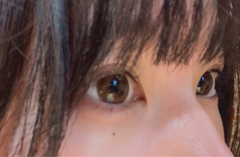 レビュー写真