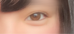 レビュー写真