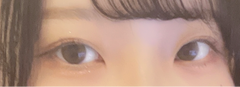 レビュー写真