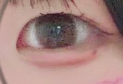 レビュー写真