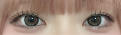 レビュー写真