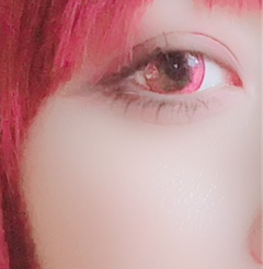 レビュー写真