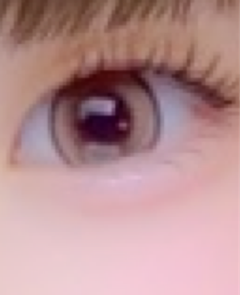 レビュー写真